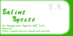 balint nyeste business card